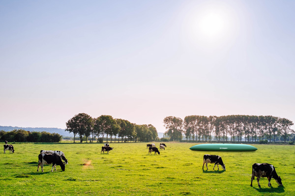 Paris International Agricultural Show 