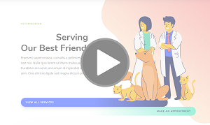 Diseño de página web y Creación de marca para Veterinarios